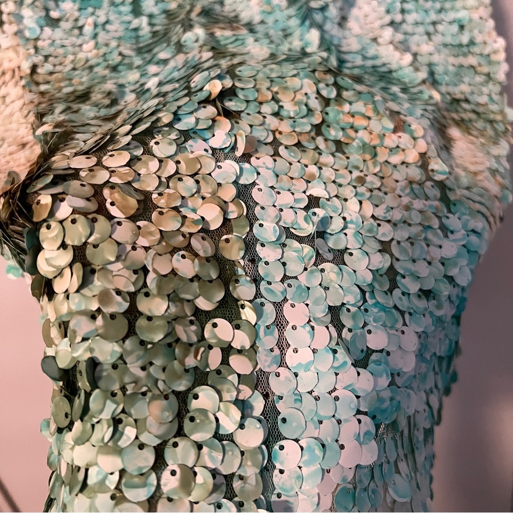 Sequin Cap-sleeve fitted Dress - Picture 10 of 14